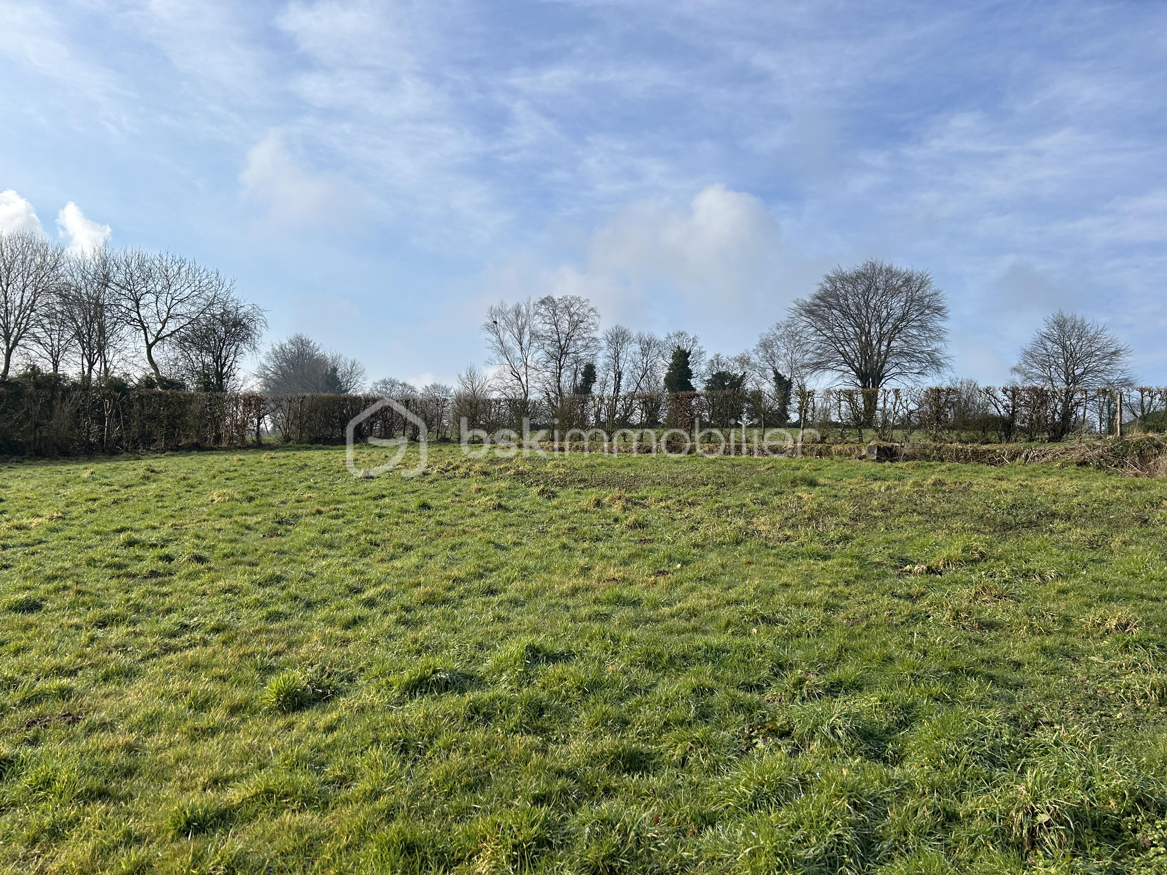 Terrain de 1 000 m² - IMG_7928.JPG